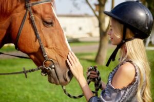 乗馬の馬と女性　イメージ画像